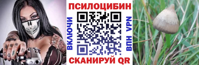 кракен онион  купить наркотики цена  Лянтор  Галлюциногенные грибы Cubensis 